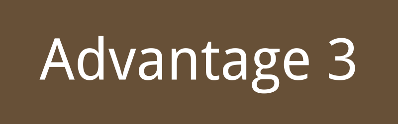 Advantage 3